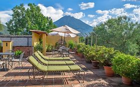 Hotel Las Camelias Inn By Ahs